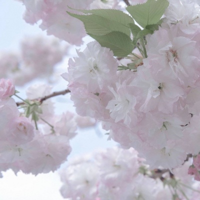 Furry插画元素设计技巧Furry群